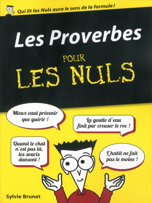 cover image of Les Proverbes pour les Nuls, édition poche